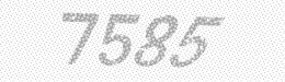 Visual security code — type the characters shown in the image